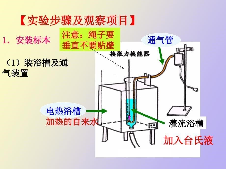 影响消化道平滑肌活动的因素_第5页