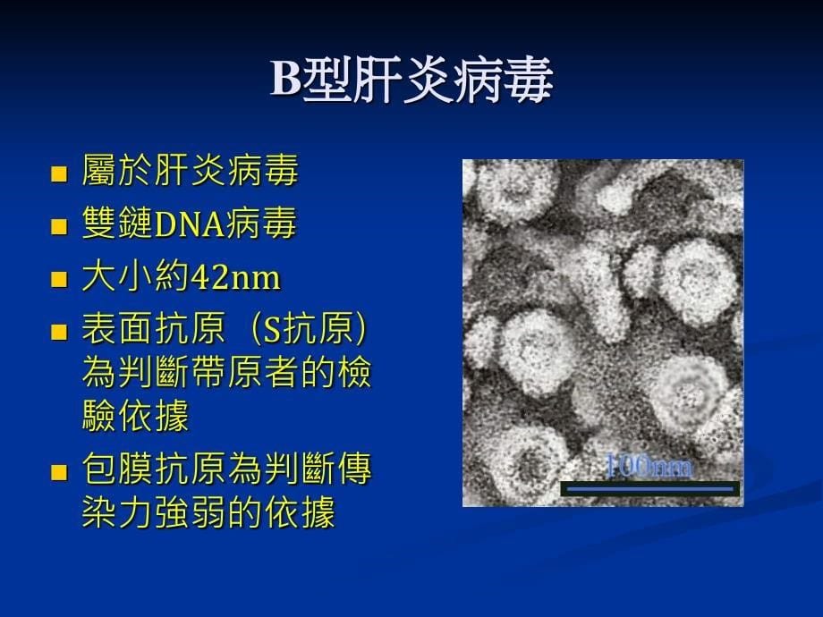 B型肝炎疫苗PPT课件_第5页