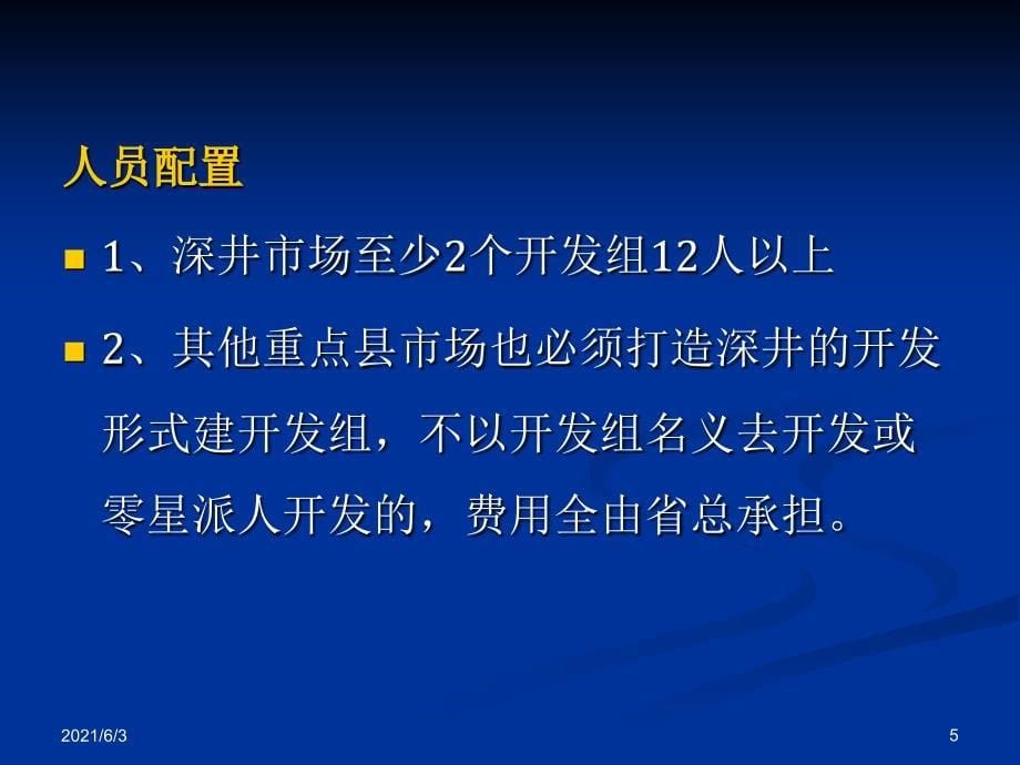 双胞胎营销模式详细操作方案(精华)_第5页