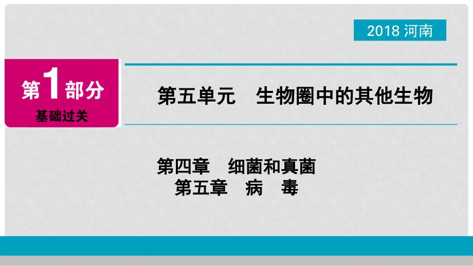 河南省中考生物总复习 第1部分 第5单元 第4章 第5章 细菌和真菌、病毒课件_第1页