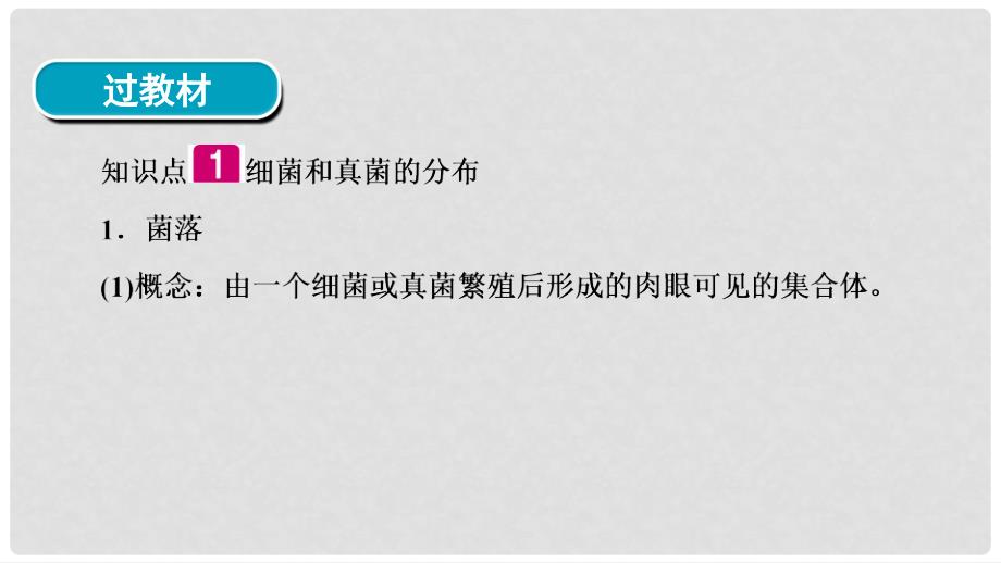 河南省中考生物总复习 第1部分 第5单元 第4章 第5章 细菌和真菌、病毒课件_第4页