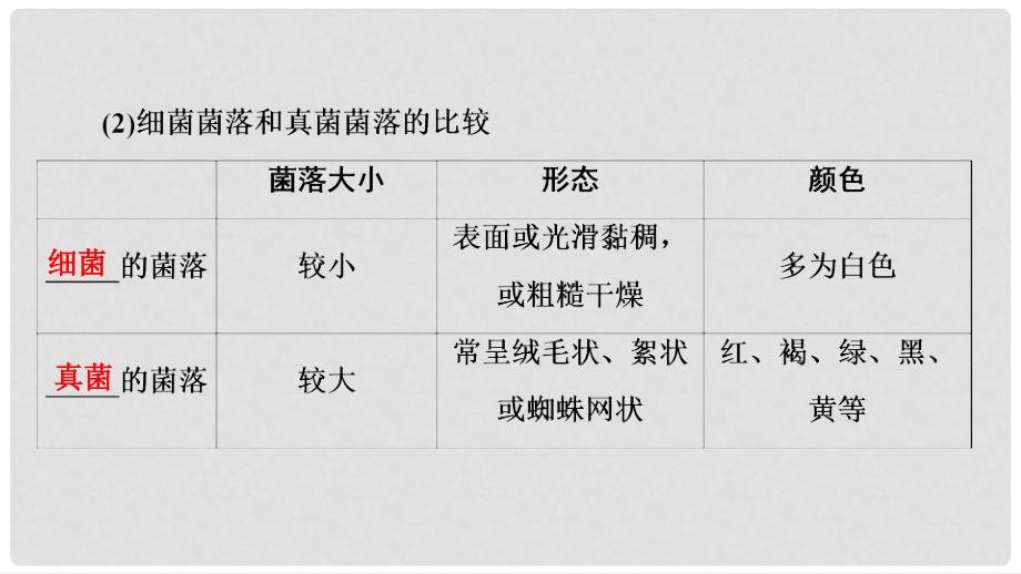 河南省中考生物总复习 第1部分 第5单元 第4章 第5章 细菌和真菌、病毒课件_第5页