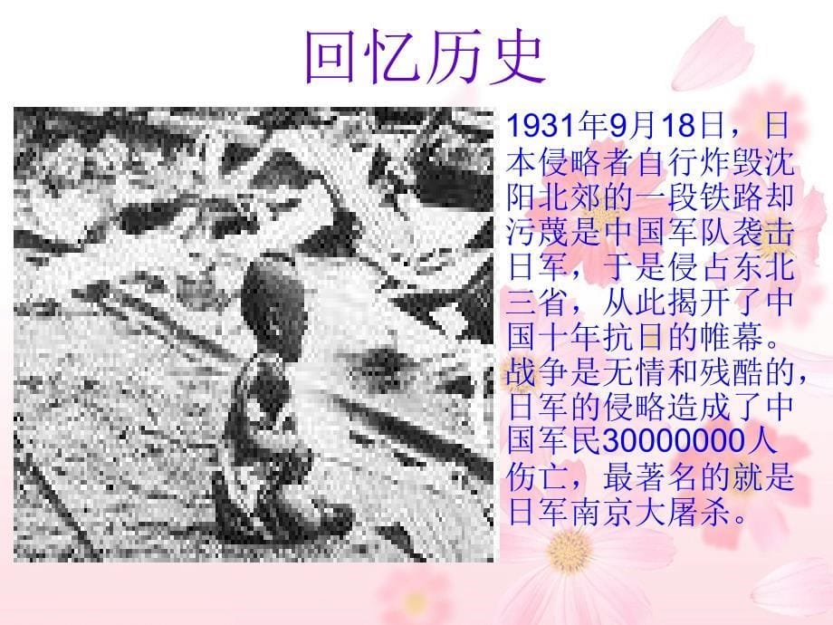 《土地的誓言》优秀课件_第5页