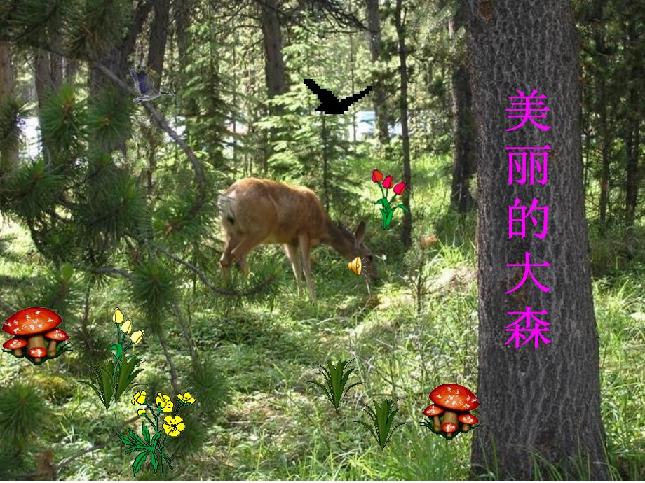 小熊住山洞(增加了生字动画)_第1页
