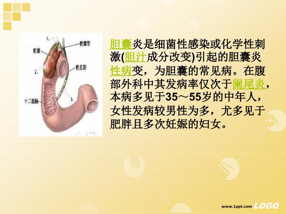 主题讲座胆囊炎_第2页