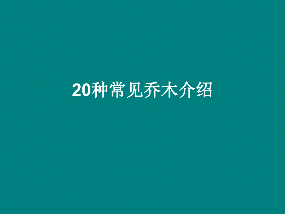 20种常见乔木介绍_第1页