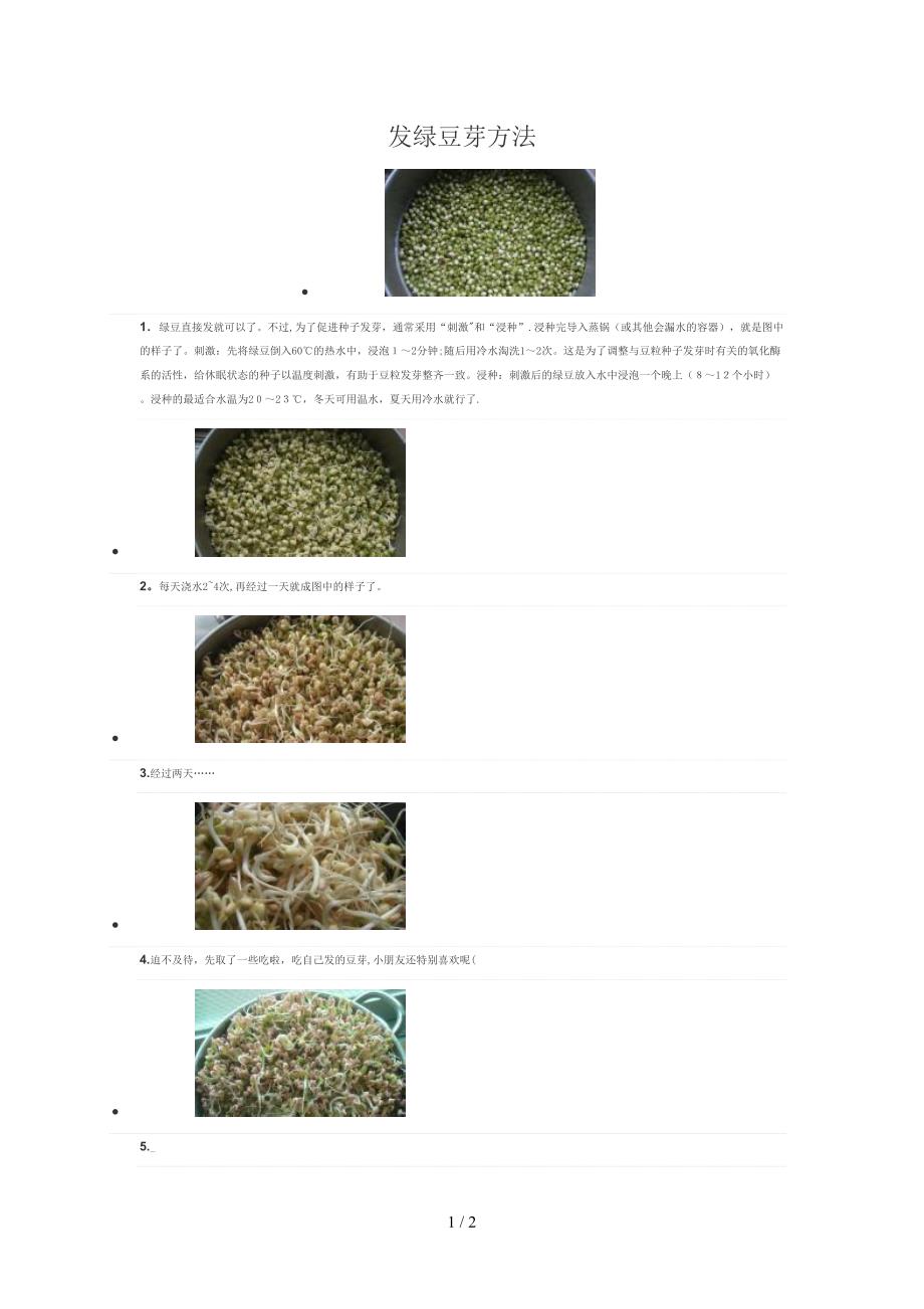 发绿豆芽方法_第1页