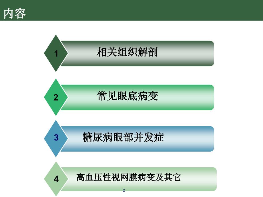 糖尿病性视网膜病变行业专业_第2页