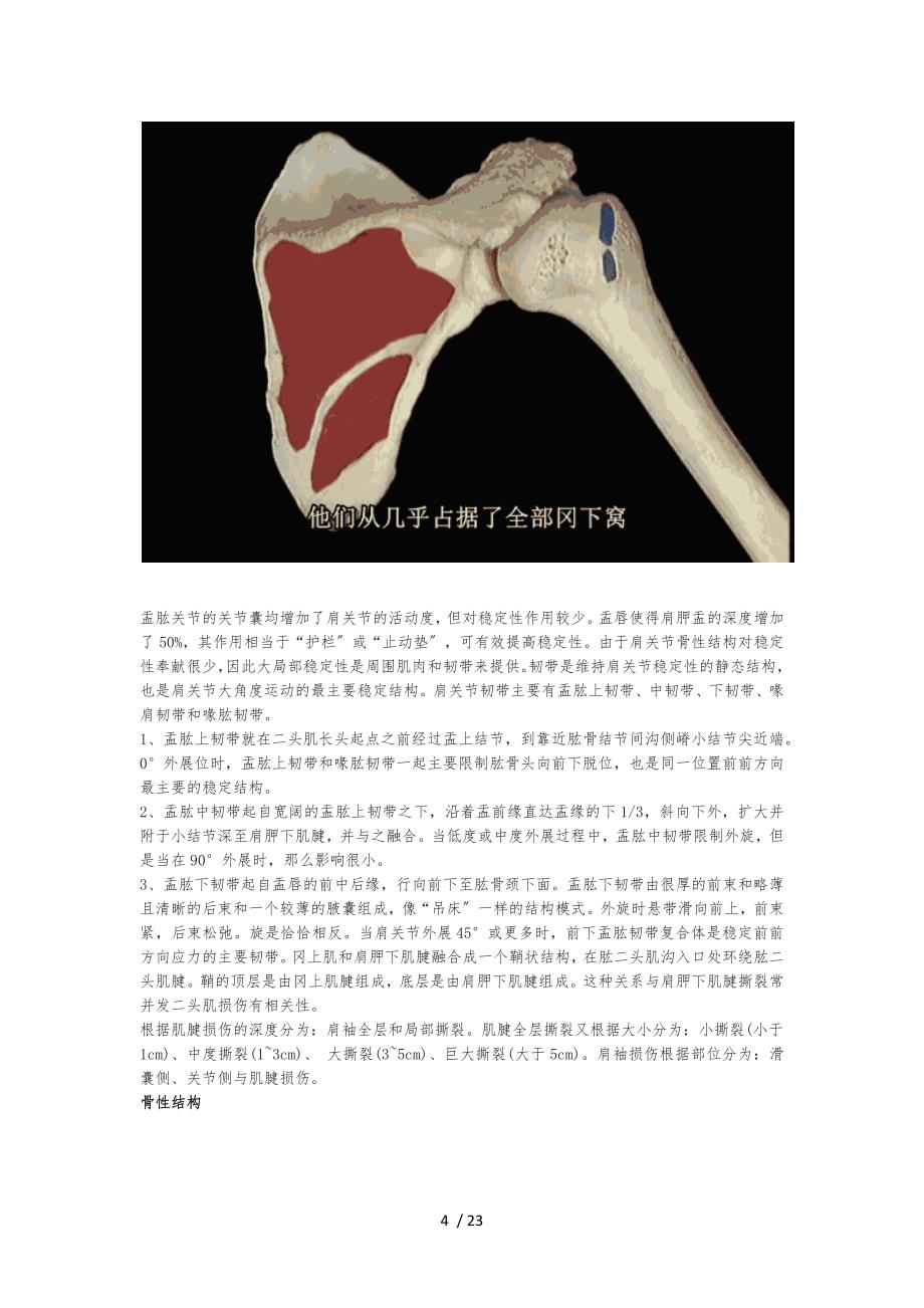 肩袖损伤查体_第4页