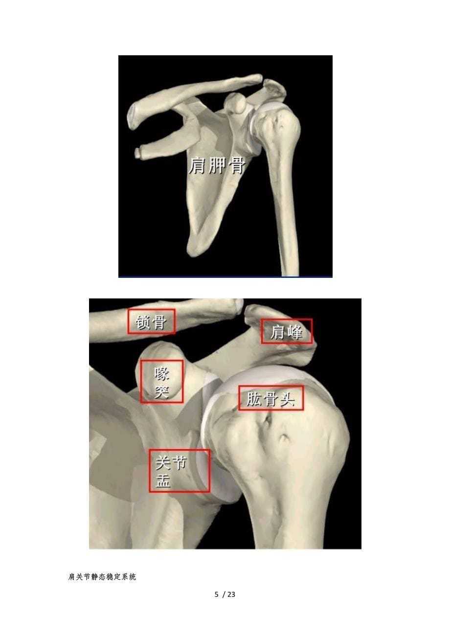 肩袖损伤查体_第5页