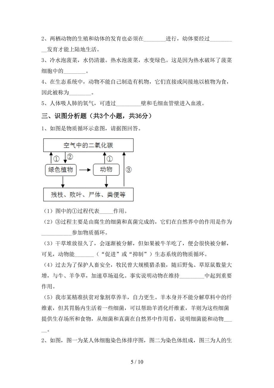 人教版九年级上册《生物》期末测试卷(精品).doc_第5页