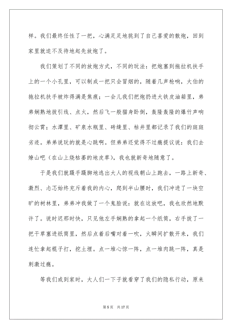 精选中学春节的作文集锦8篇_第5页