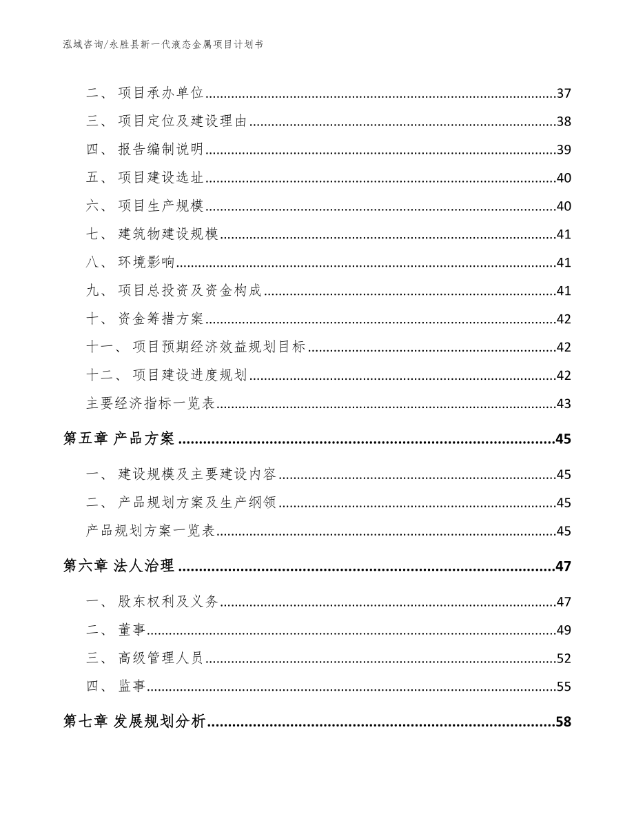 永胜县新一代液态金属项目计划书（参考模板）_第3页