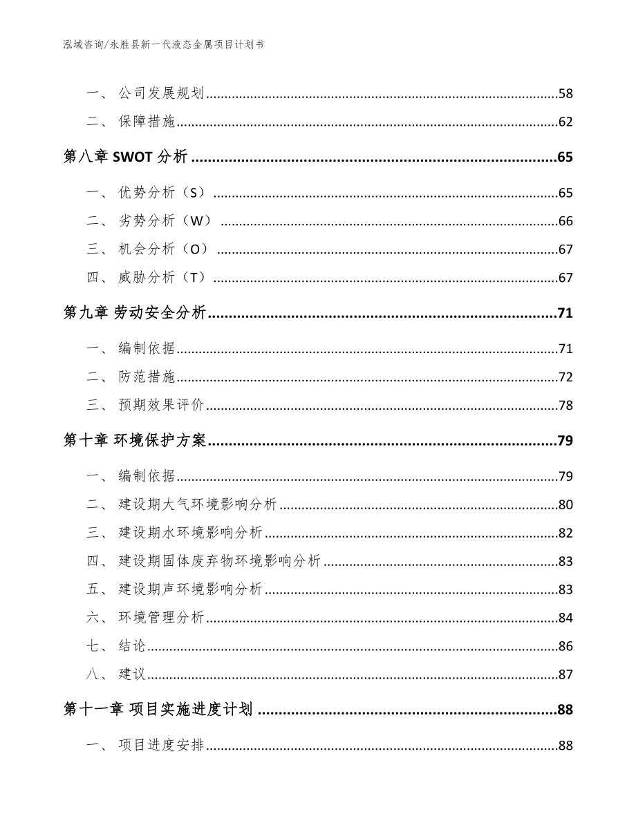 永胜县新一代液态金属项目计划书（参考模板）_第4页