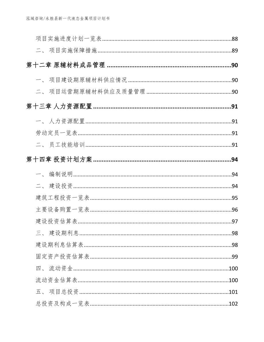 永胜县新一代液态金属项目计划书（参考模板）_第5页