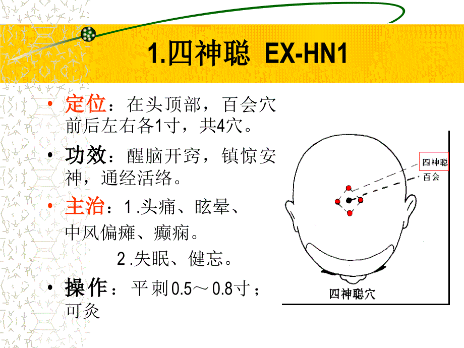 经外奇穴修正版_第2页