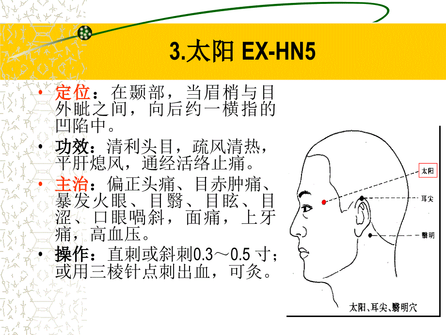 经外奇穴修正版_第4页