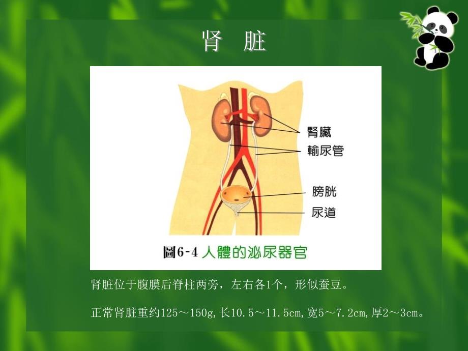 慢性肾脏病的认识_第2页