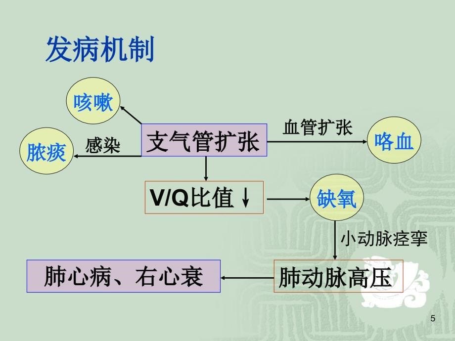 支气管扩张病人的护理教学ppt护理业务学习课件_第5页