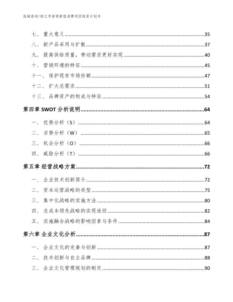 枝江市培育新型消费项目投资计划书（模板参考）_第2页