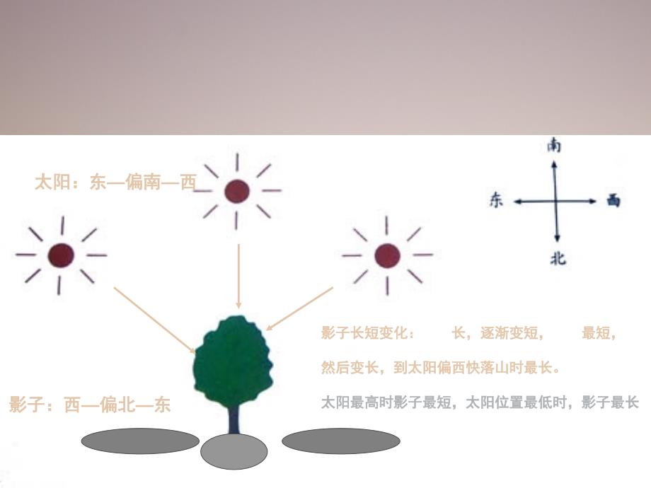 教科版科学五年级上册光是怎样传播的课堂PPT_第2页