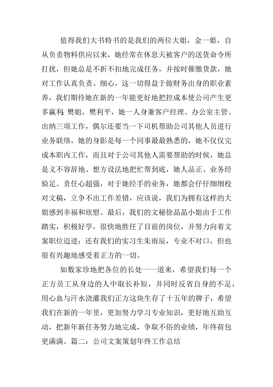 公司工作总结策划方案_第2页