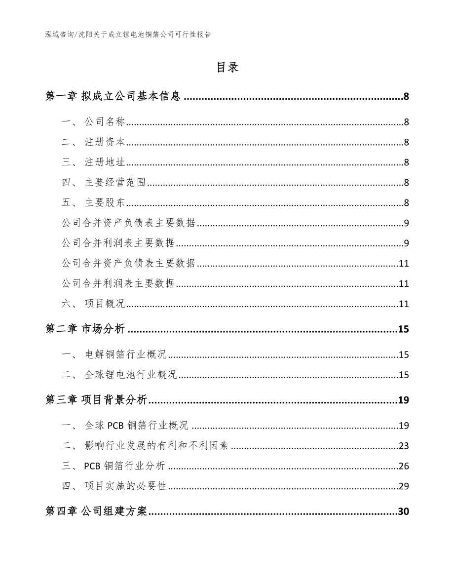 沈阳关于成立锂电池铜箔公司可行性报告【参考模板】_第2页