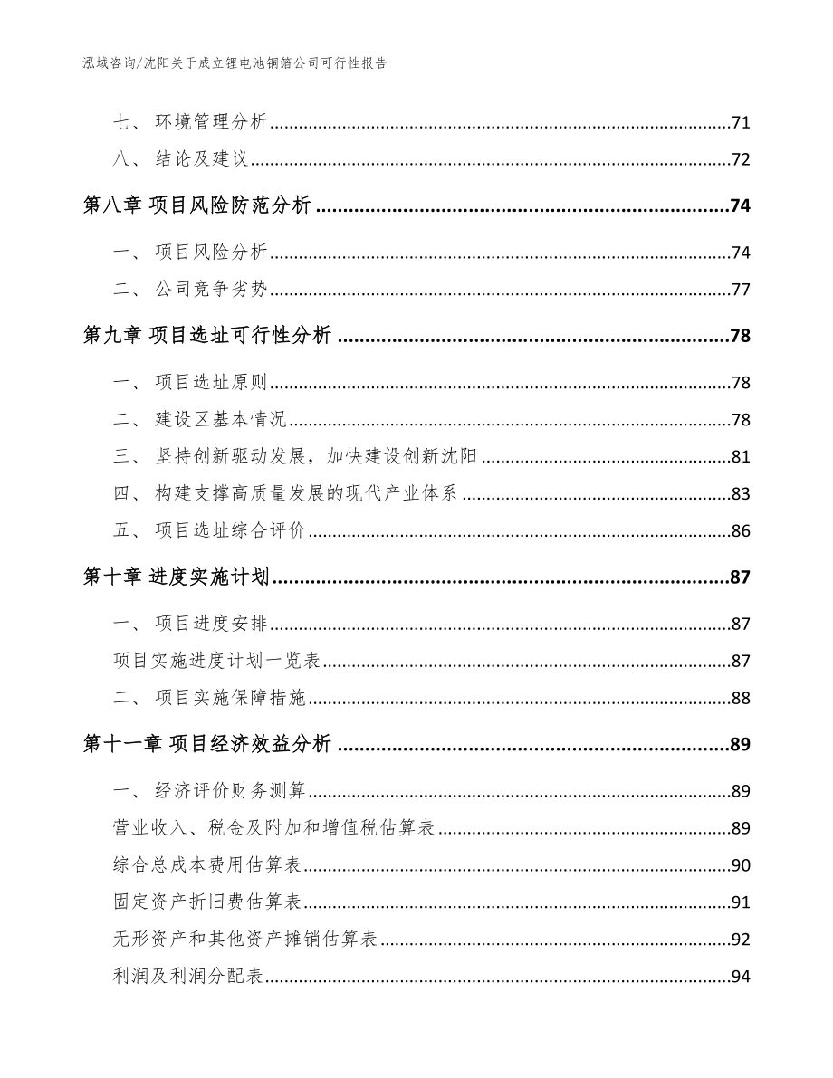 沈阳关于成立锂电池铜箔公司可行性报告【参考模板】_第4页