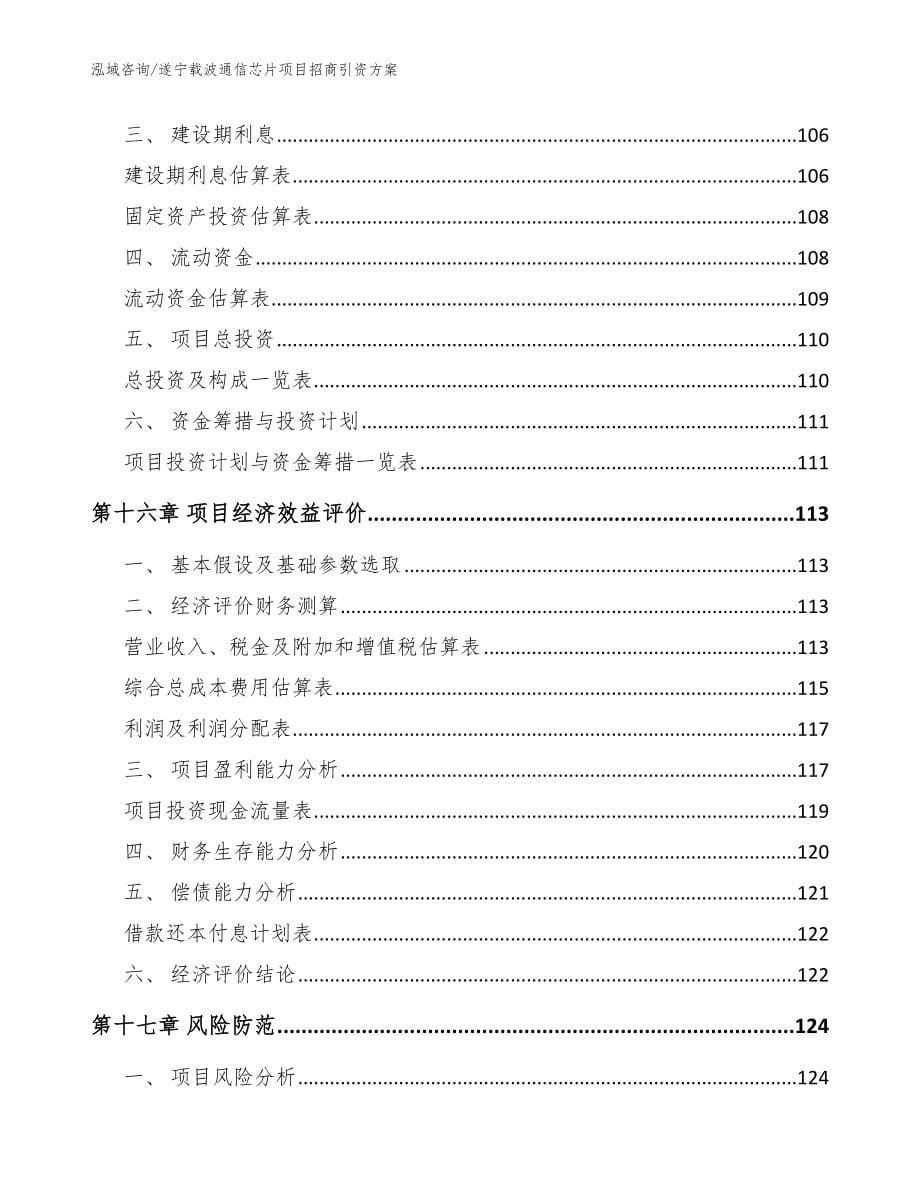 遂宁载波通信芯片项目招商引资方案参考范文_第5页