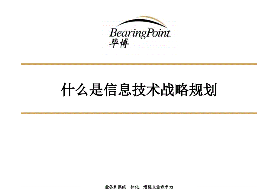 5企业信息技术战略规划_第3页