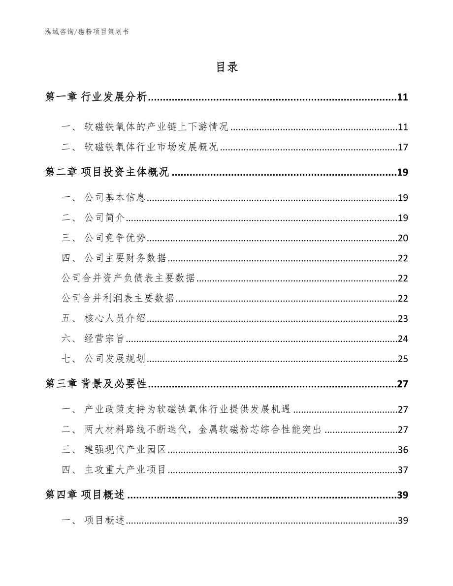 磁粉项目策划书_模板_第4页