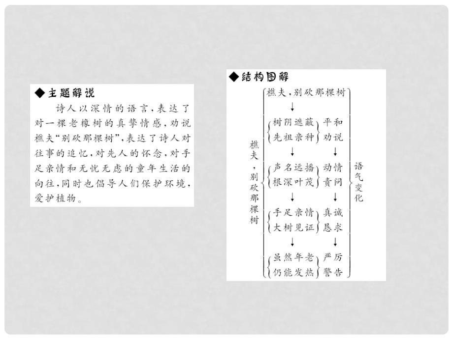 原八年级语文下册 第二单元 8《樵夫别砍那棵树》课件 （新版）语文版_第4页