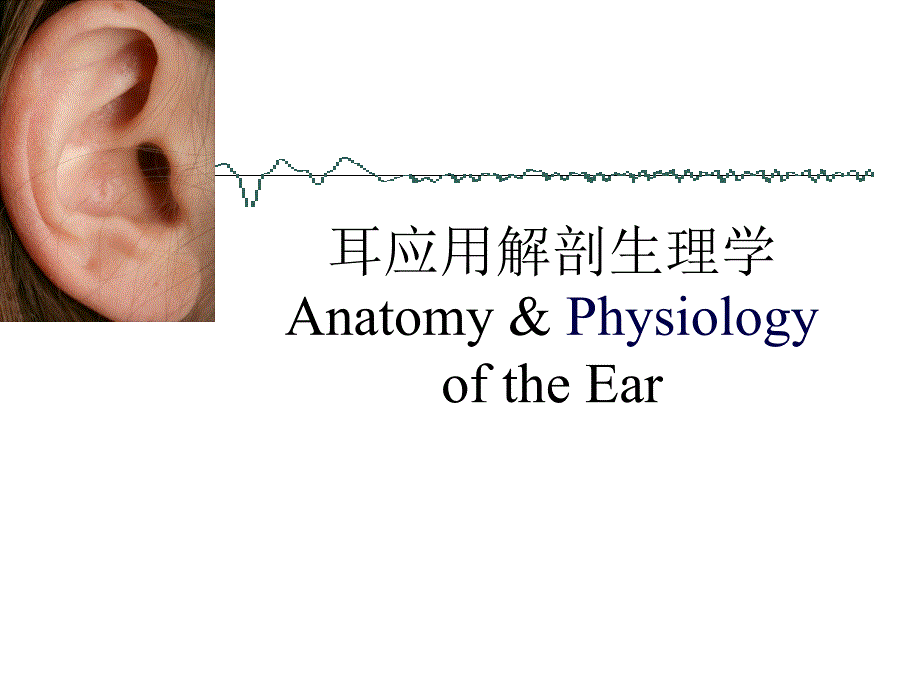 耳鼻咽喉头颈外科学：耳应用解剖生理学_第1页