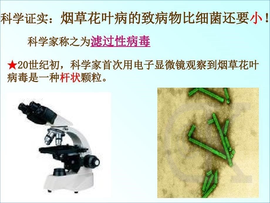 新人教版八年级生物上册病毒缺少视频_第5页