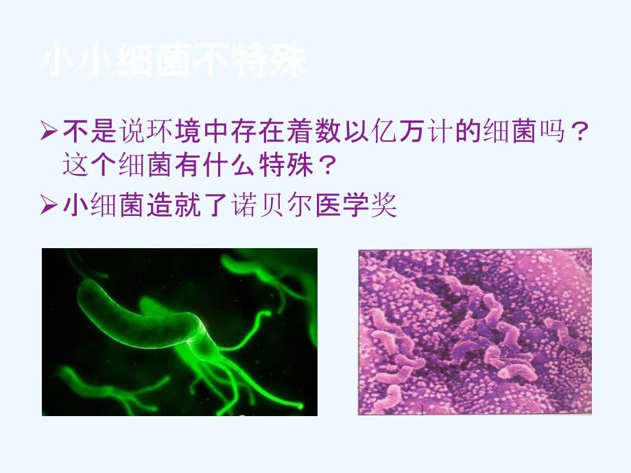 幽门螺旋杆菌科普课件_第3页