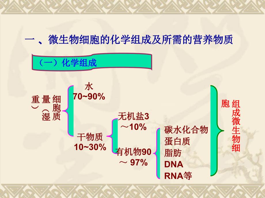 水处理生物学第六章生理特性_第3页