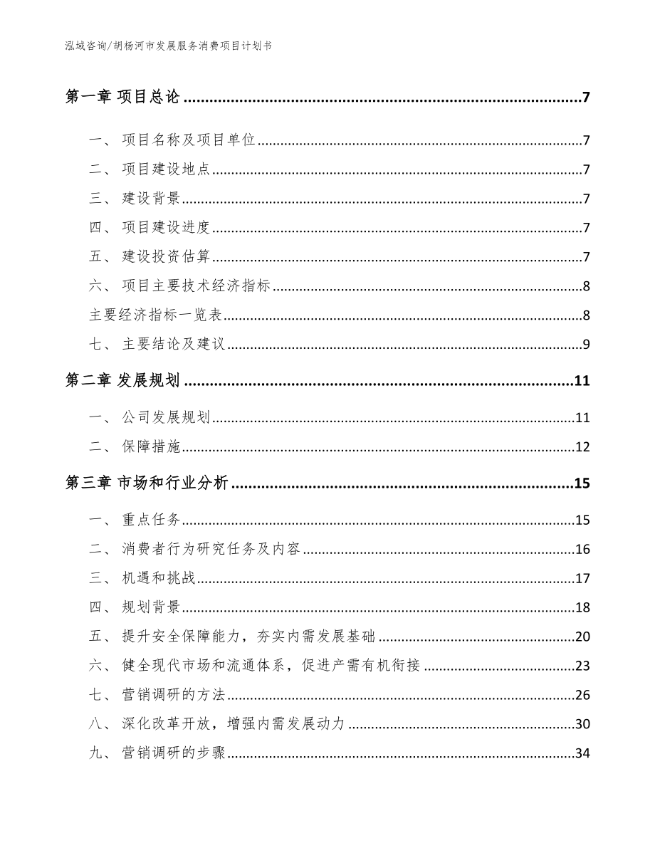 胡杨河市发展服务消费项目计划书_第2页