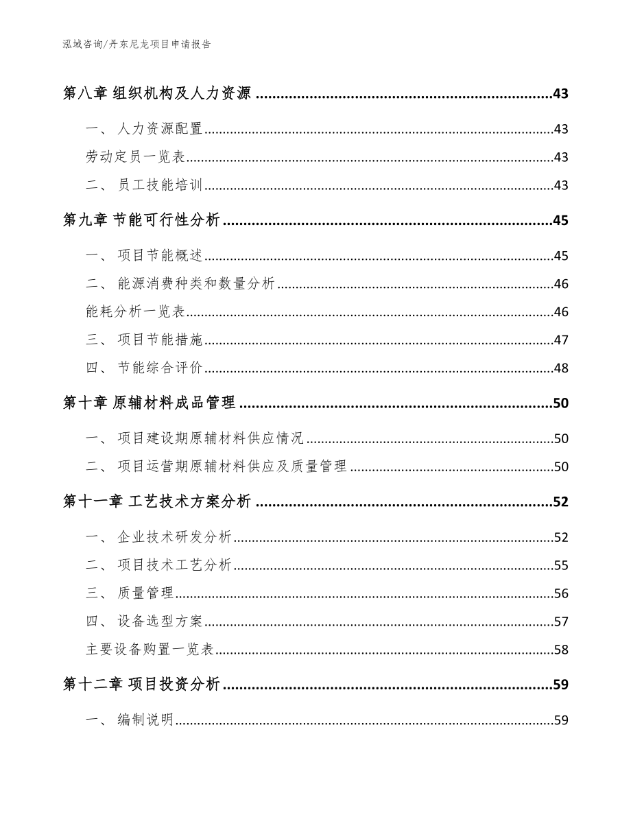 丹东尼龙项目申请报告模板参考_第3页