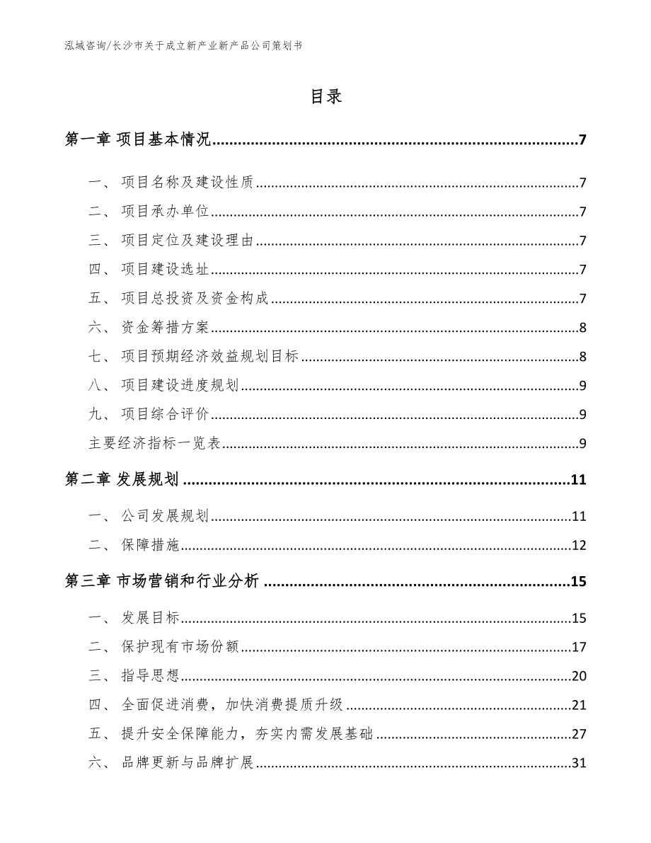 长沙市关于成立新产业新产品公司策划书_模板范本_第2页