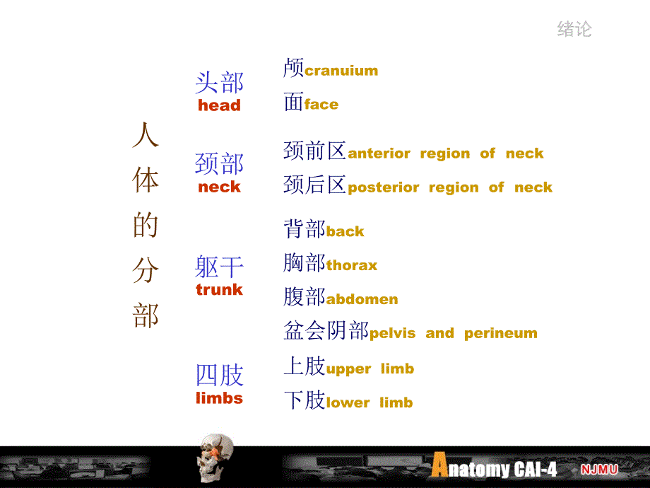 细胞生物学：运动_第4页