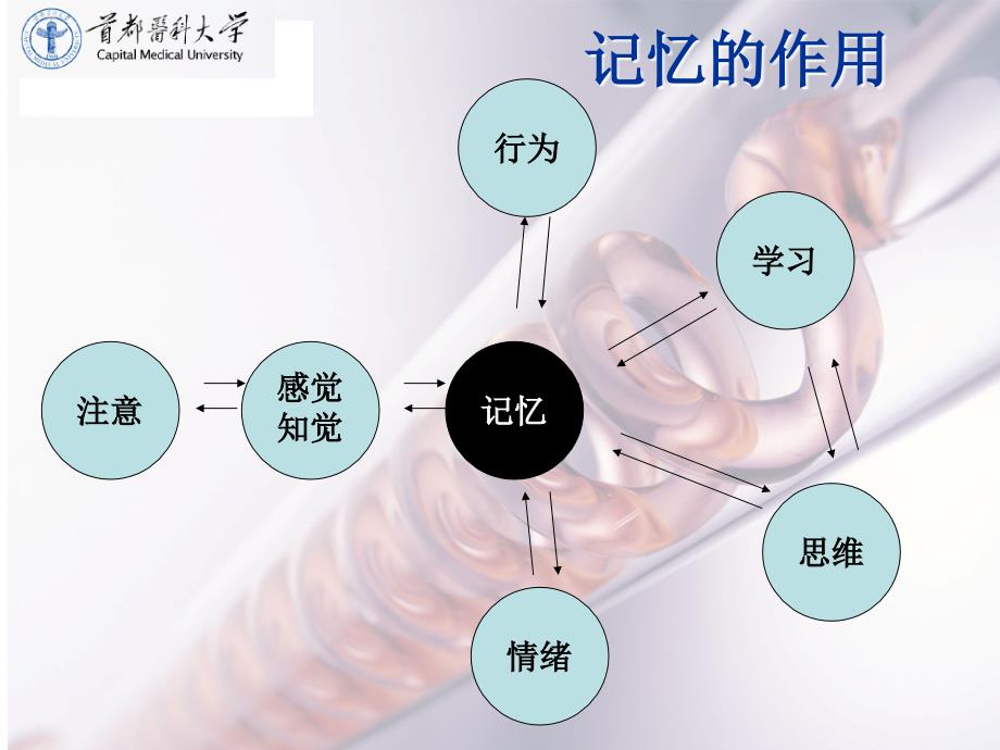 学习与记忆ppt课件_第4页