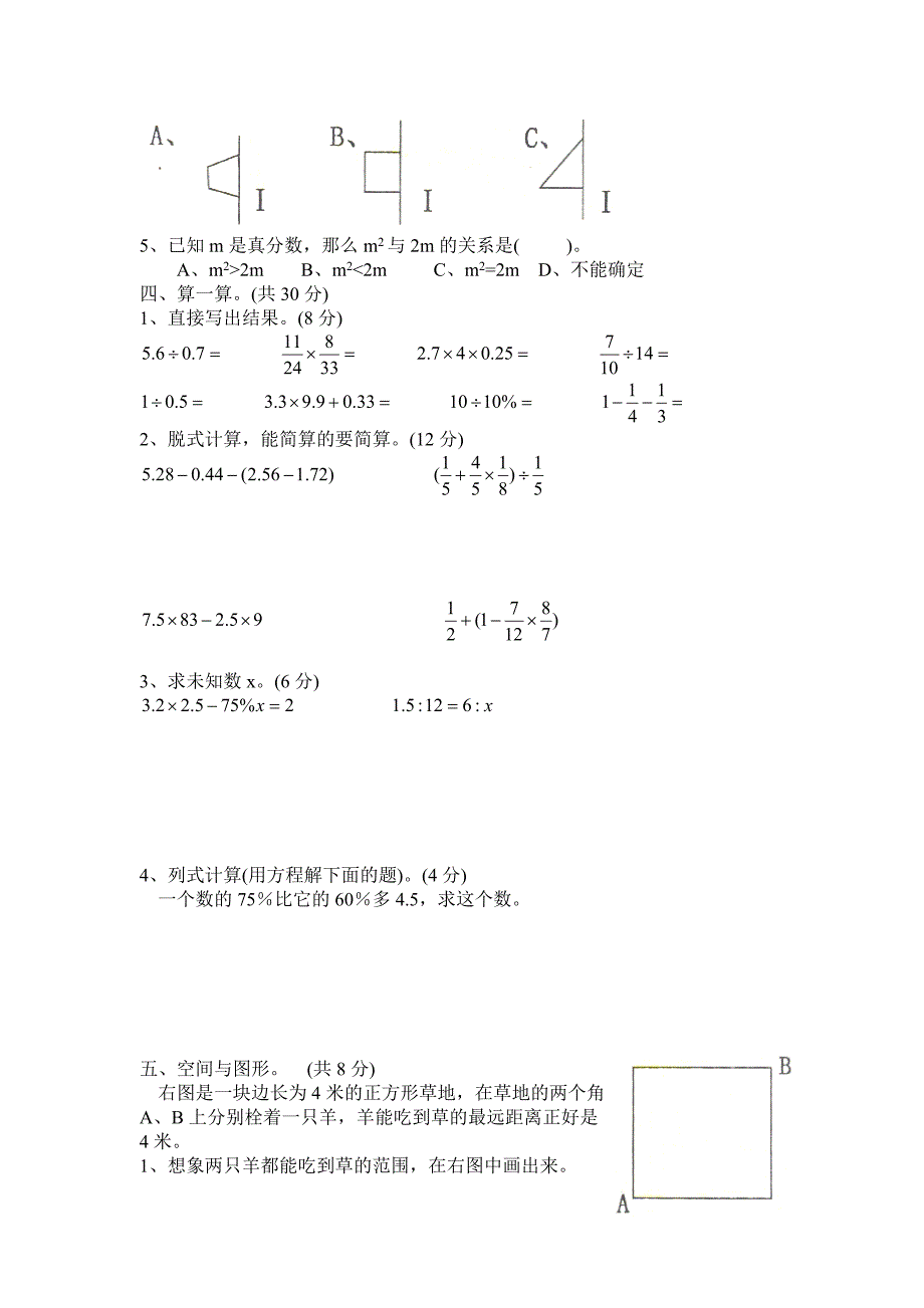 遂宁市安居区2013年上期小学六年级综合素质测试数学试卷_第2页