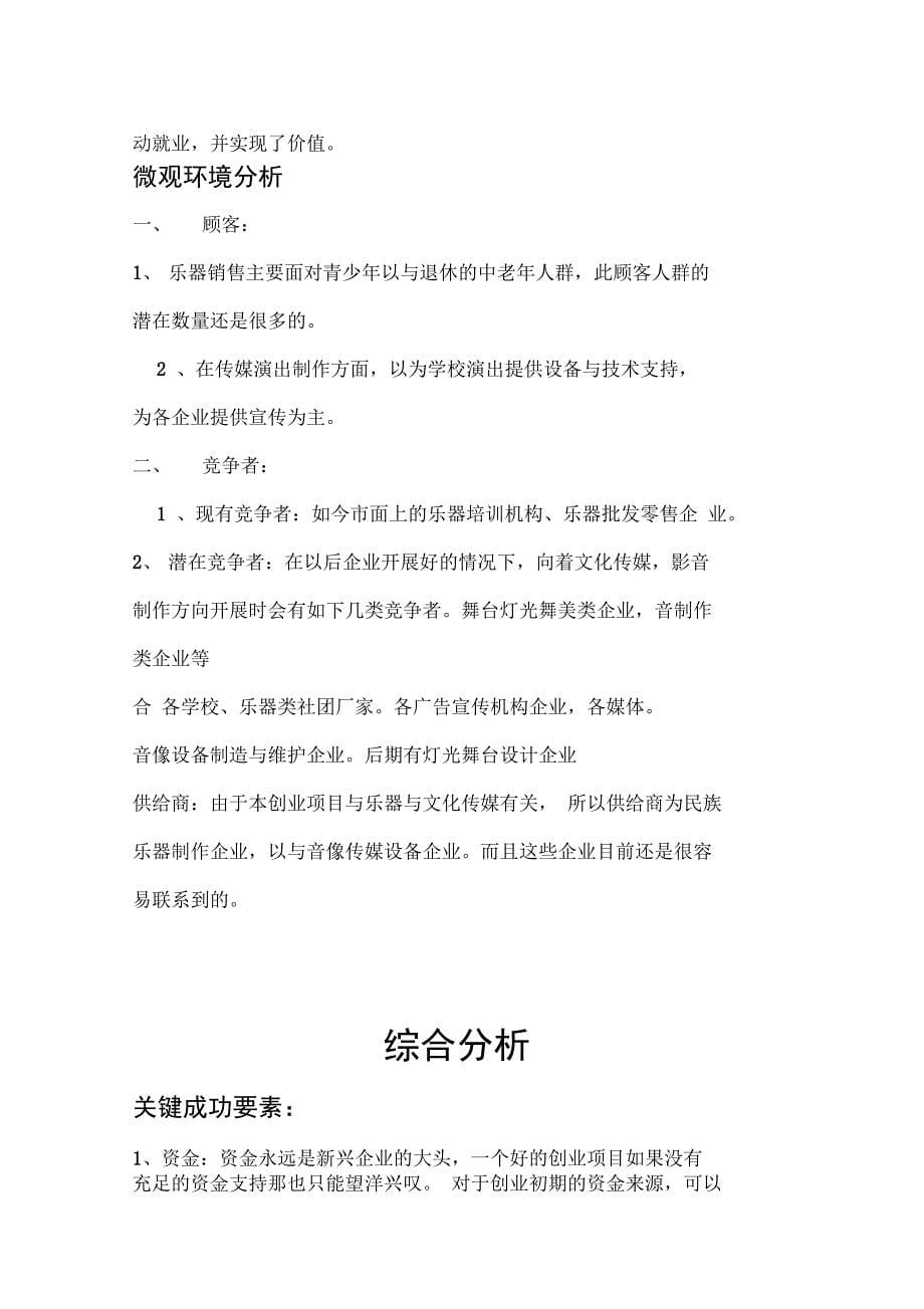 琴时民乐创业项目计划书_第5页