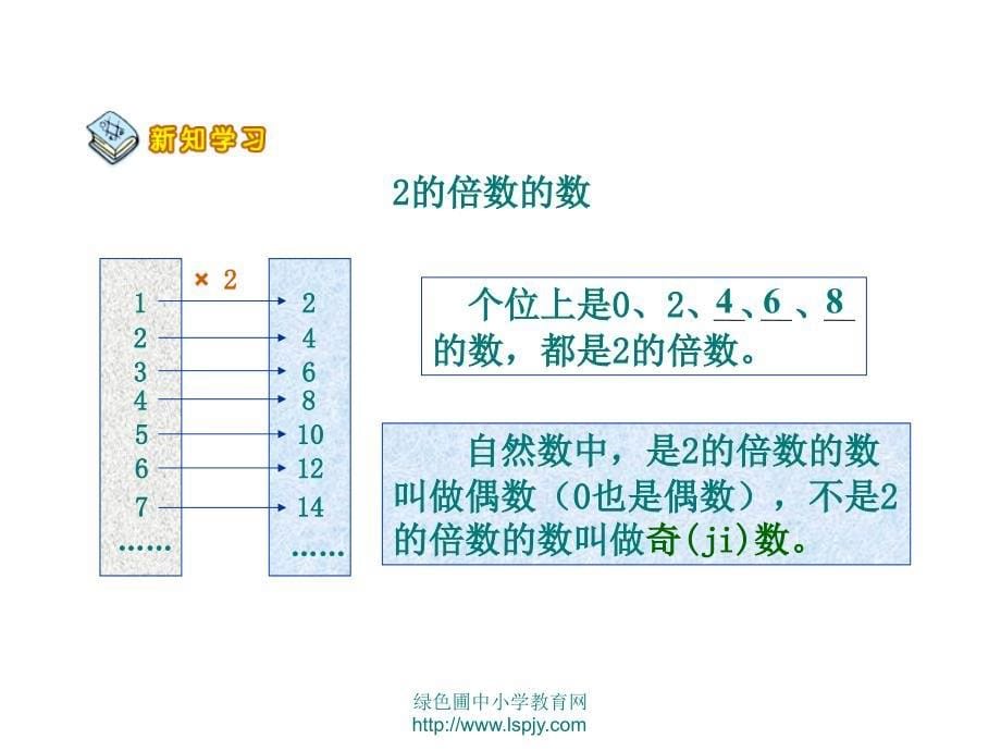 253的倍数特征课件_第5页