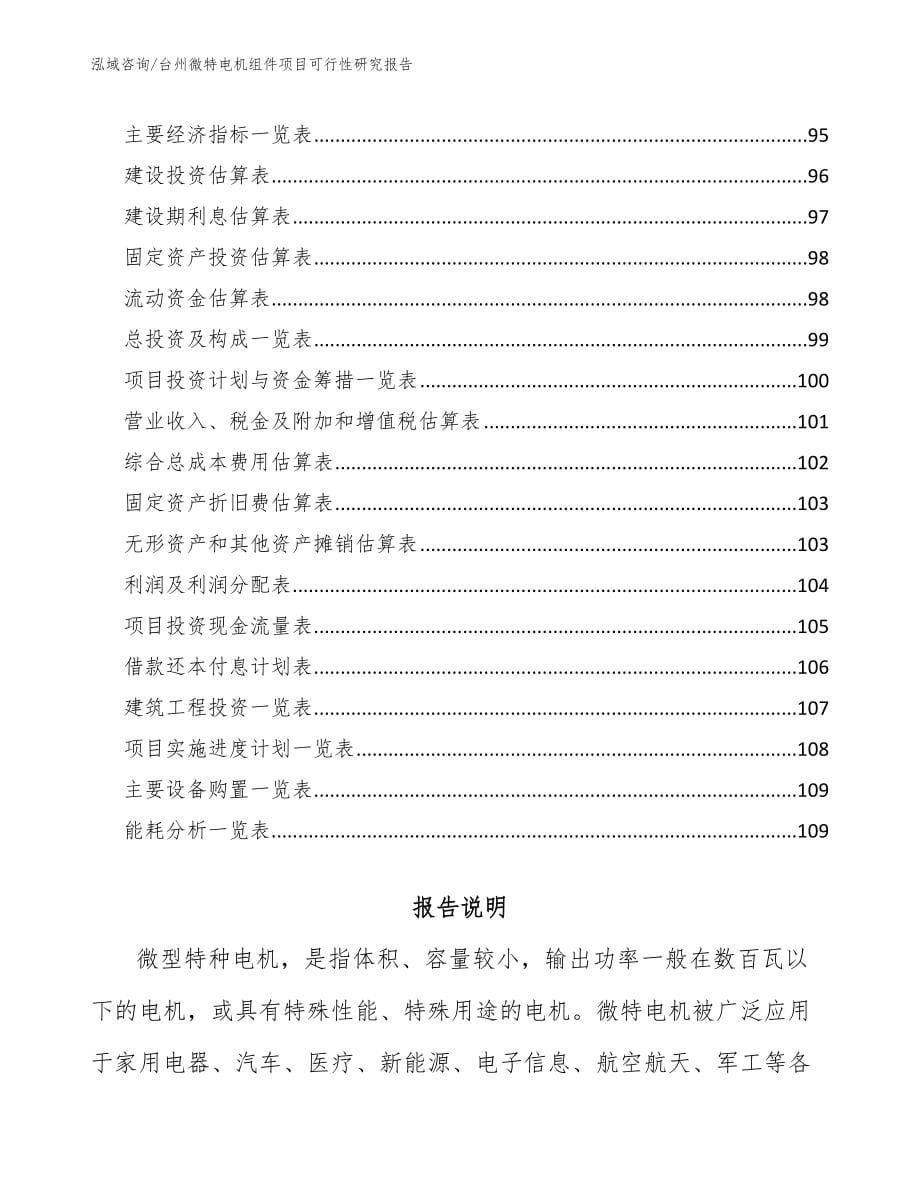台州微特电机组件项目可行性研究报告（范文）_第5页