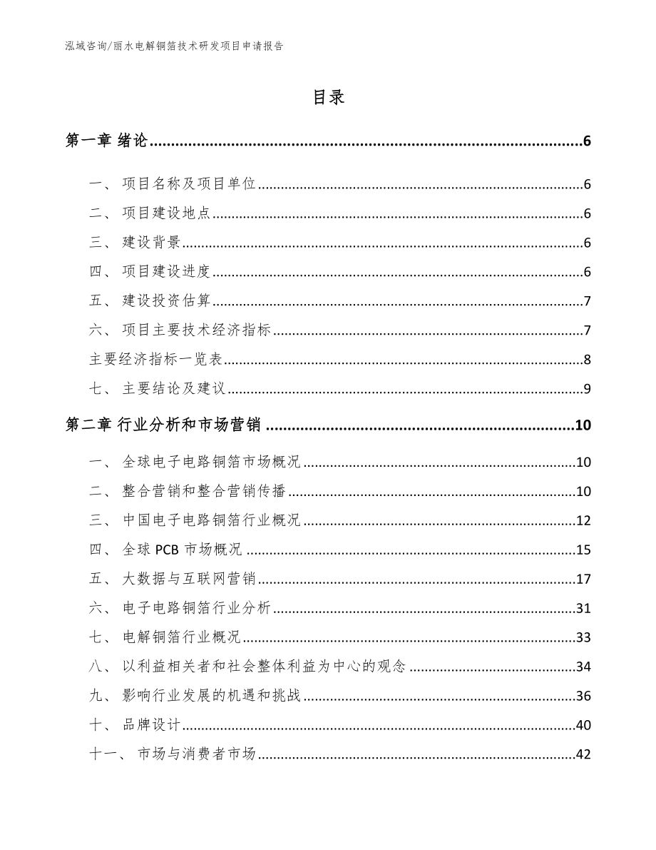 丽水电解铜箔技术研发项目申请报告_第1页