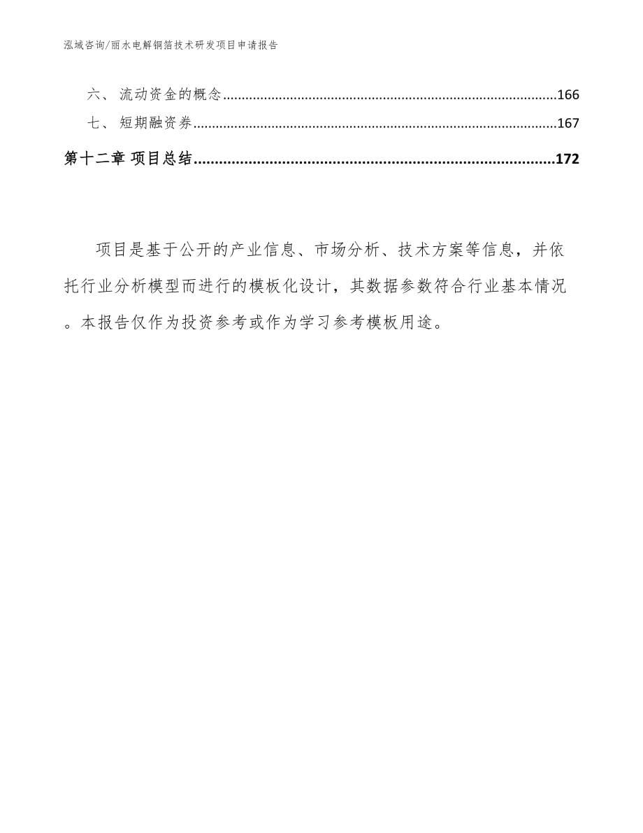 丽水电解铜箔技术研发项目申请报告_第5页