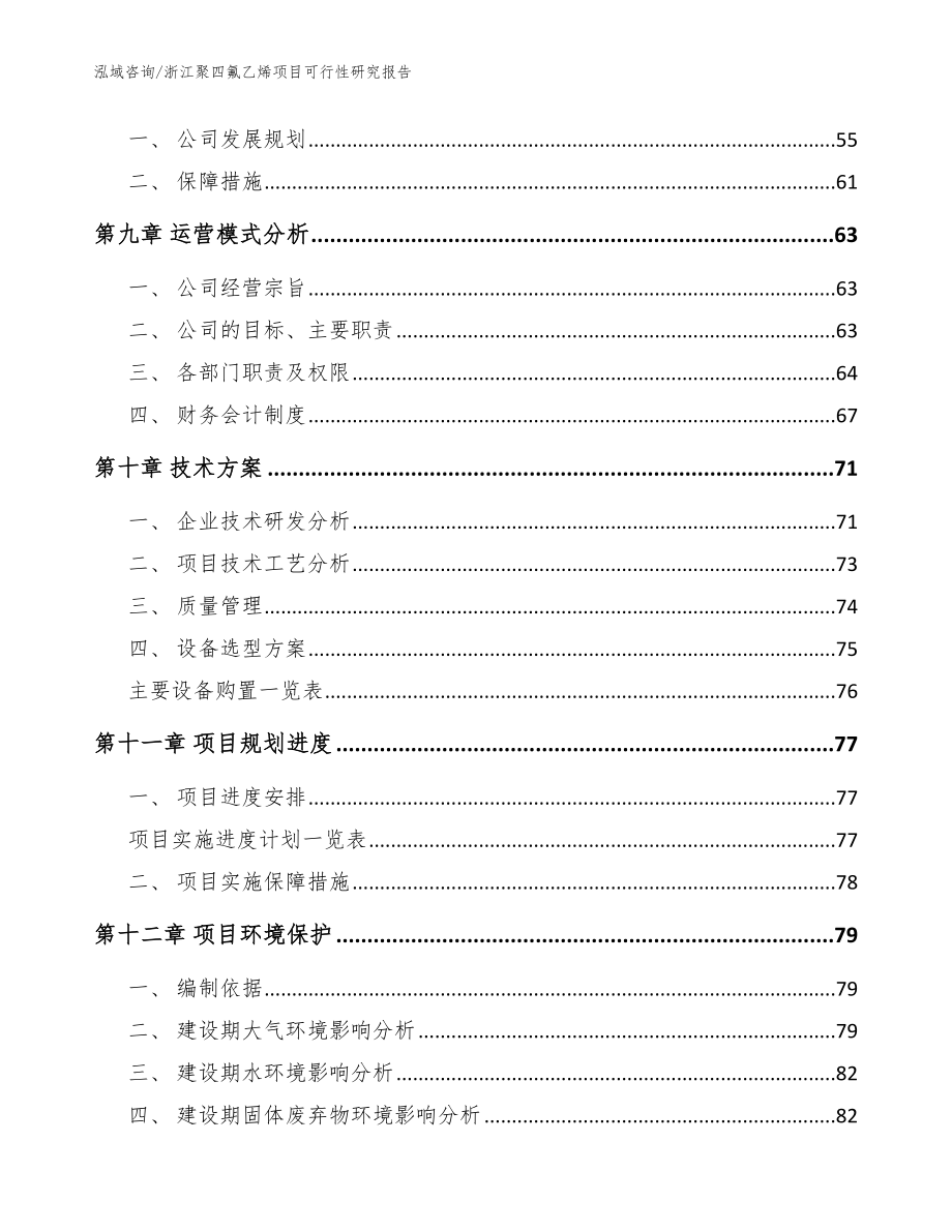 浙江聚四氟乙烯项目可行性研究报告（模板范本）_第3页
