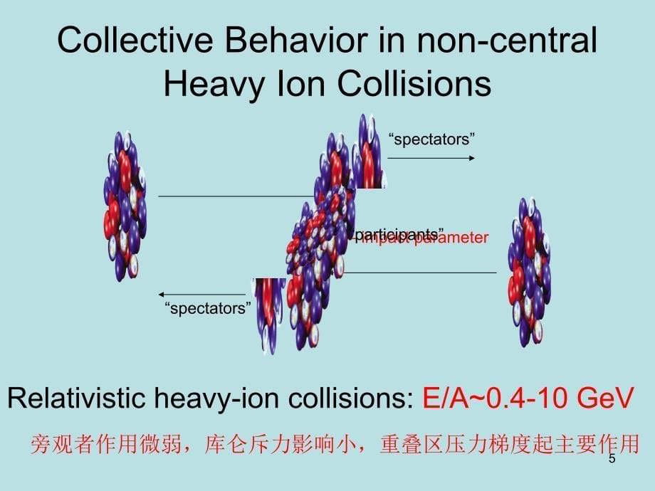 中能重离子碰撞中椭圆流的横半径依赖研究_第5页