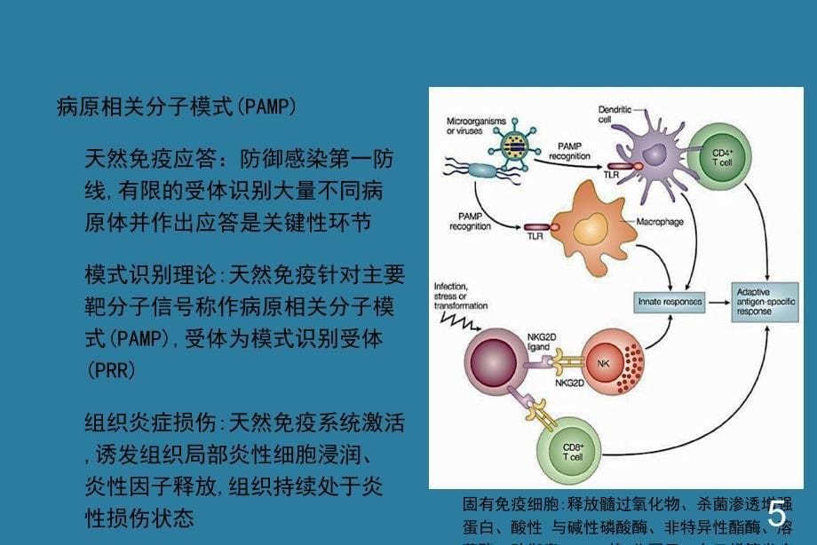 脓毒症与免疫文档资料_第5页